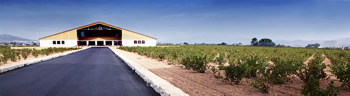 Bodega Barahonda