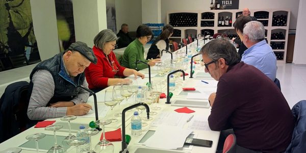 Calificación cosecha DOP Yecla 2024