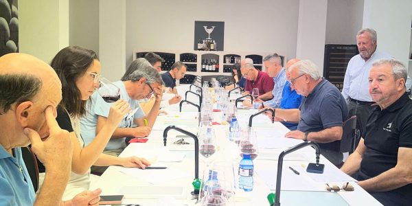 calificacion cochecha vino 2025.2