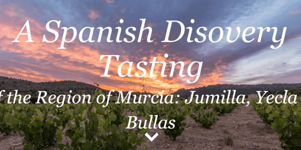 spanis discovery testing